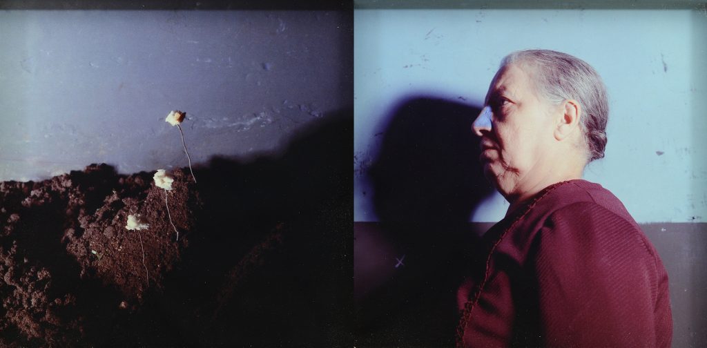 Michele Zaza - Magico