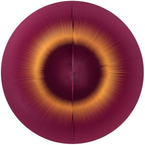 Ti muovi e giochi con il cerchio rosso